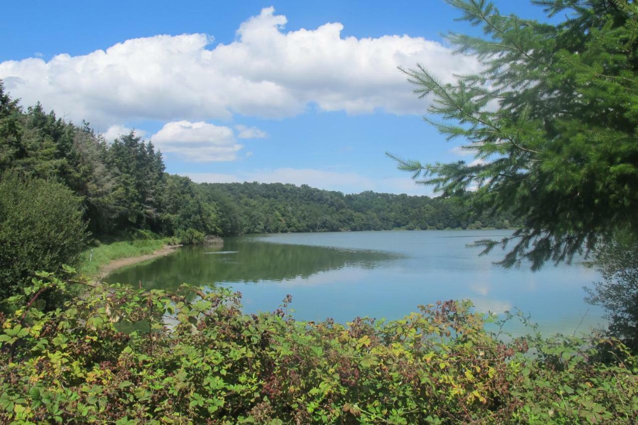 הוילה Saint-Julien-des-Landes Le Contrevent מראה חיצוני תמונה